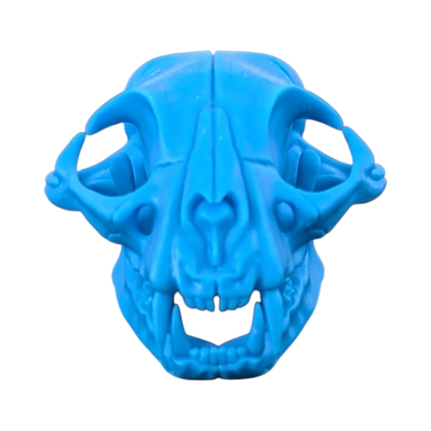 Powder Blue: Life-Size Cat Skull (Matte)