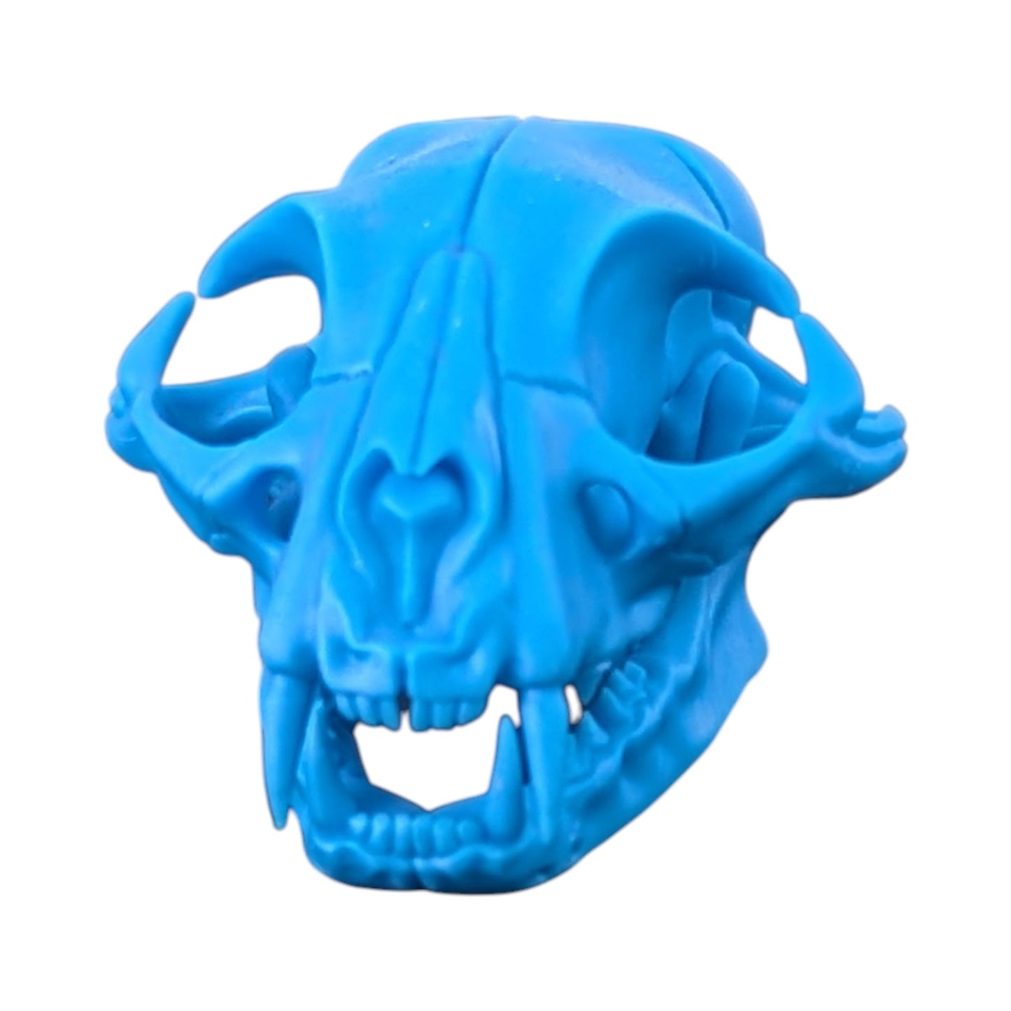 Powder Blue: Life-Size Cat Skull (Matte)