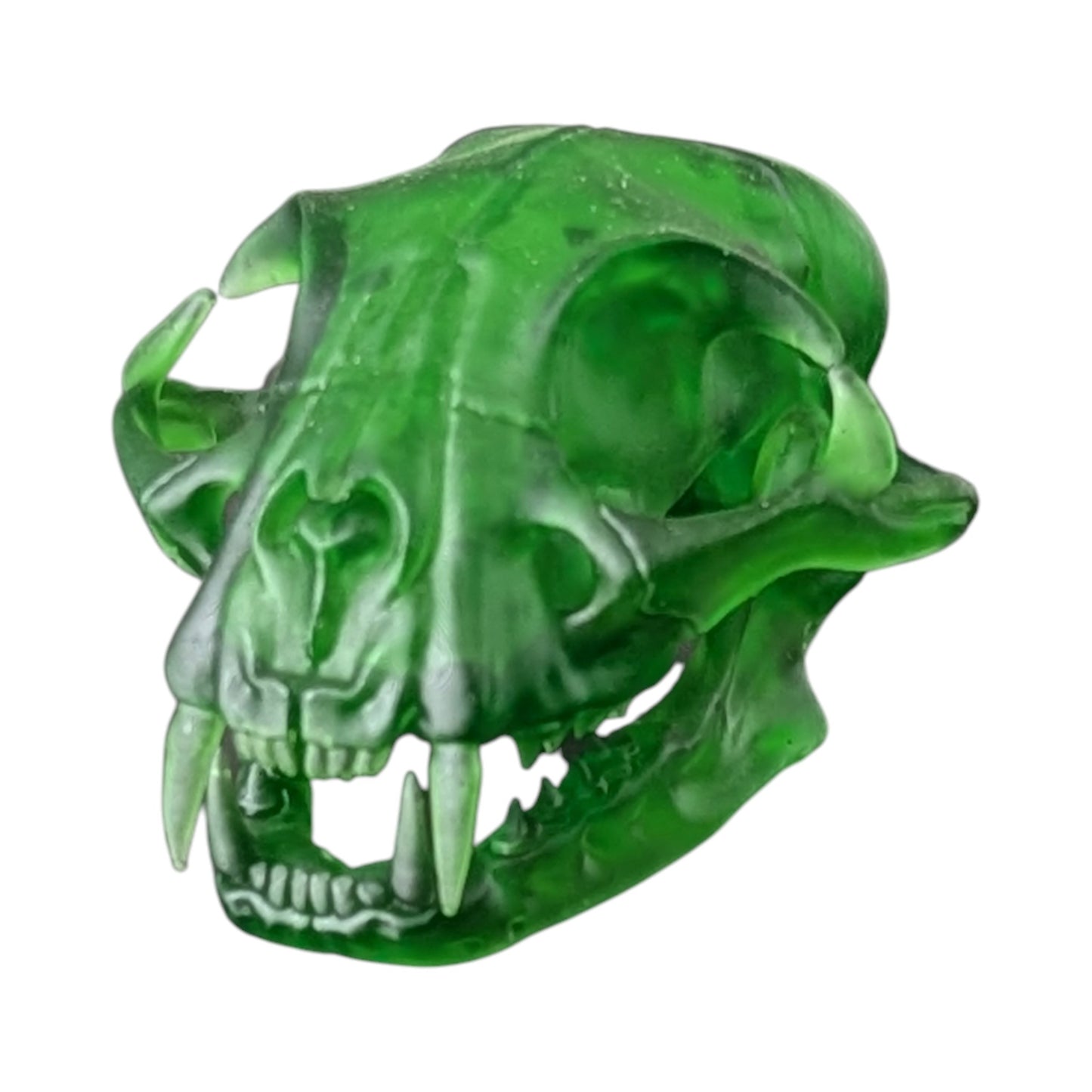 The Emerald Specimen: Life-Size Cat Skull