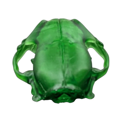 The Emerald Specimen: Life-Size Cat Skull