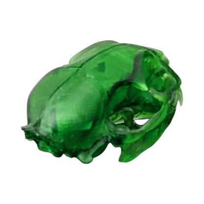 The Emerald Specimen: Life-Size Cat Skull