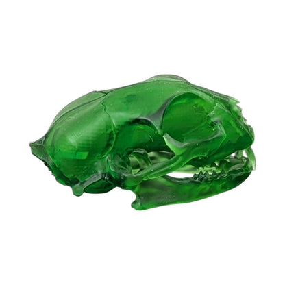 The Emerald Specimen: Life-Size Cat Skull