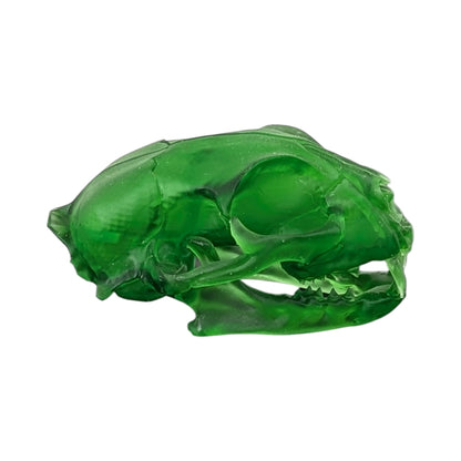 The Emerald Specimen: Life-Size Cat Skull
