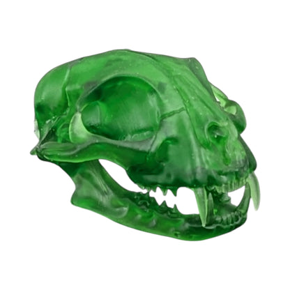 The Emerald Specimen: Life-Size Cat Skull