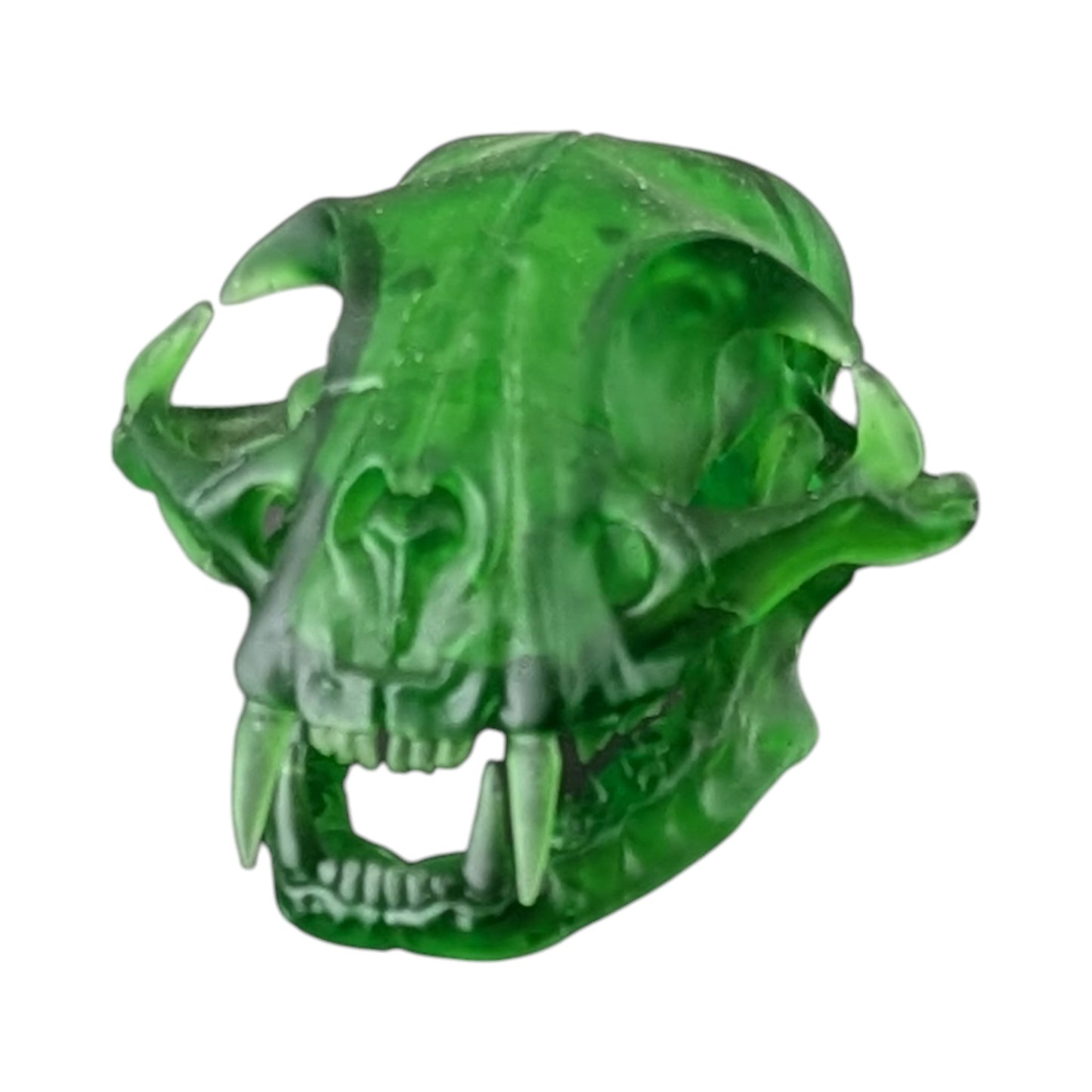 The Emerald Specimen: Life-Size Cat Skull