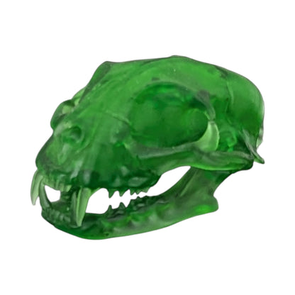 The Emerald Specimen: Life-Size Cat Skull