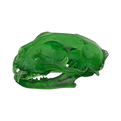 The Emerald Specimen: Life-Size Cat Skull