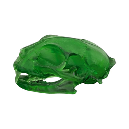 The Emerald Specimen: Life-Size Cat Skull