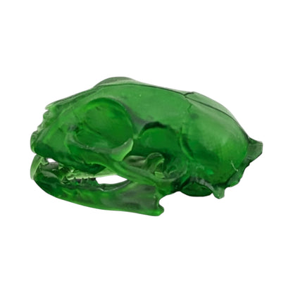 The Emerald Specimen: Life-Size Cat Skull