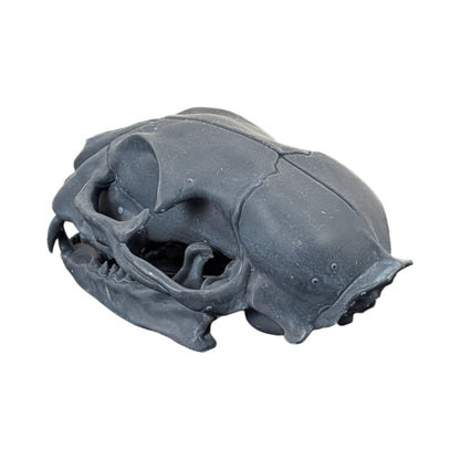 Charcoal Black: Solid Resin Cat Skull
