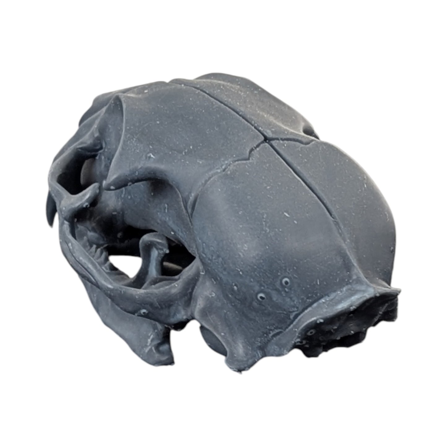 Charcoal Black: Solid Resin Cat Skull