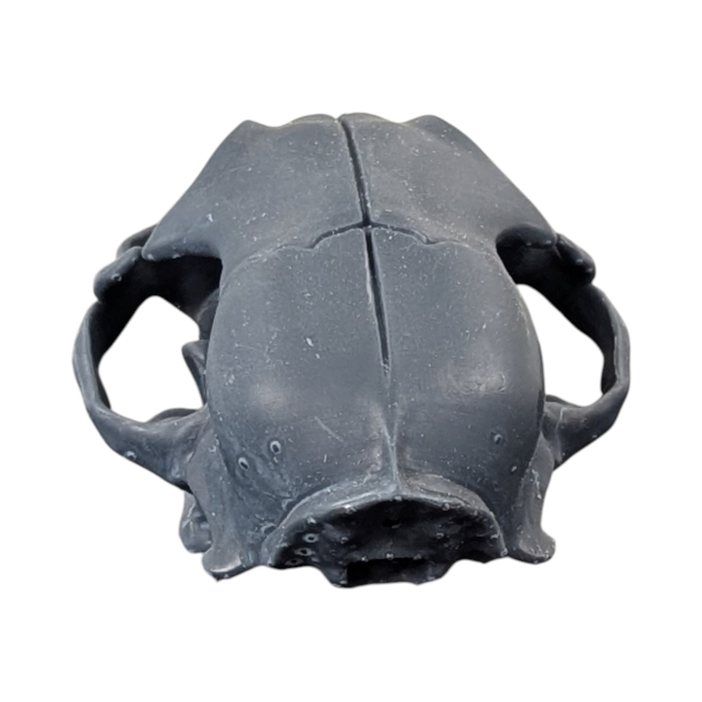 Charcoal Black: Solid Resin Cat Skull