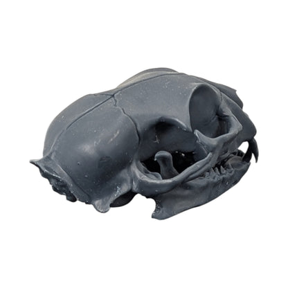 Charcoal Black: Solid Resin Cat Skull
