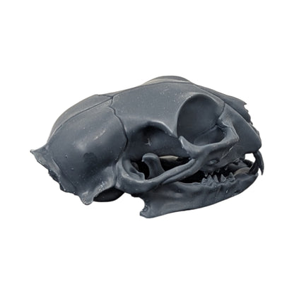 Charcoal Black: Solid Resin Cat Skull