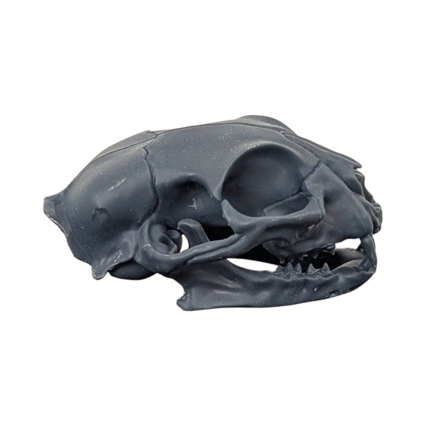 Charcoal Black: Solid Resin Cat Skull