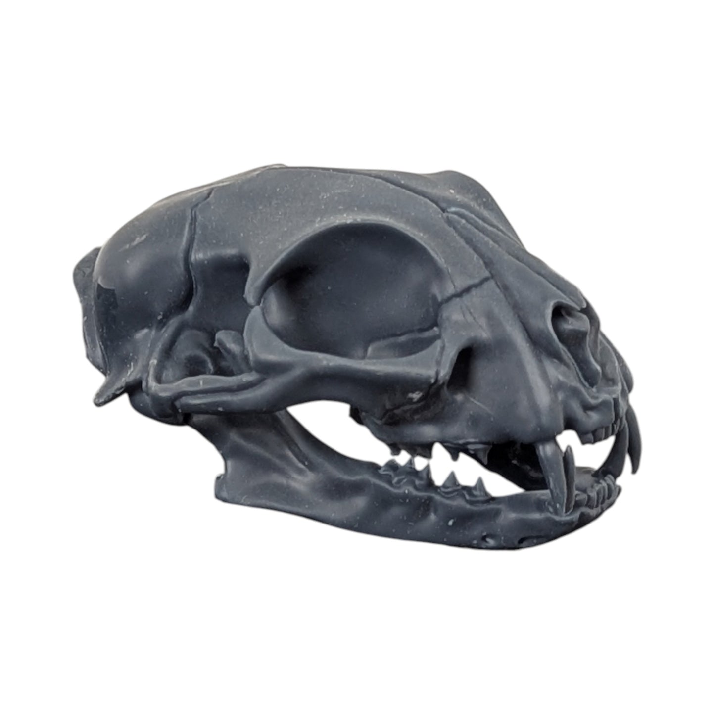 Charcoal Black: Solid Resin Cat Skull