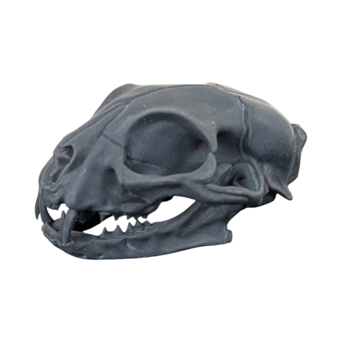 Charcoal Black: Solid Resin Cat Skull