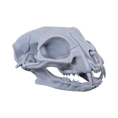 The Urban Specimen: Life-Size Cat Skull (Matte Concrete)