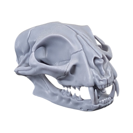 The Urban Specimen: Life-Size Cat Skull (Matte Concrete)