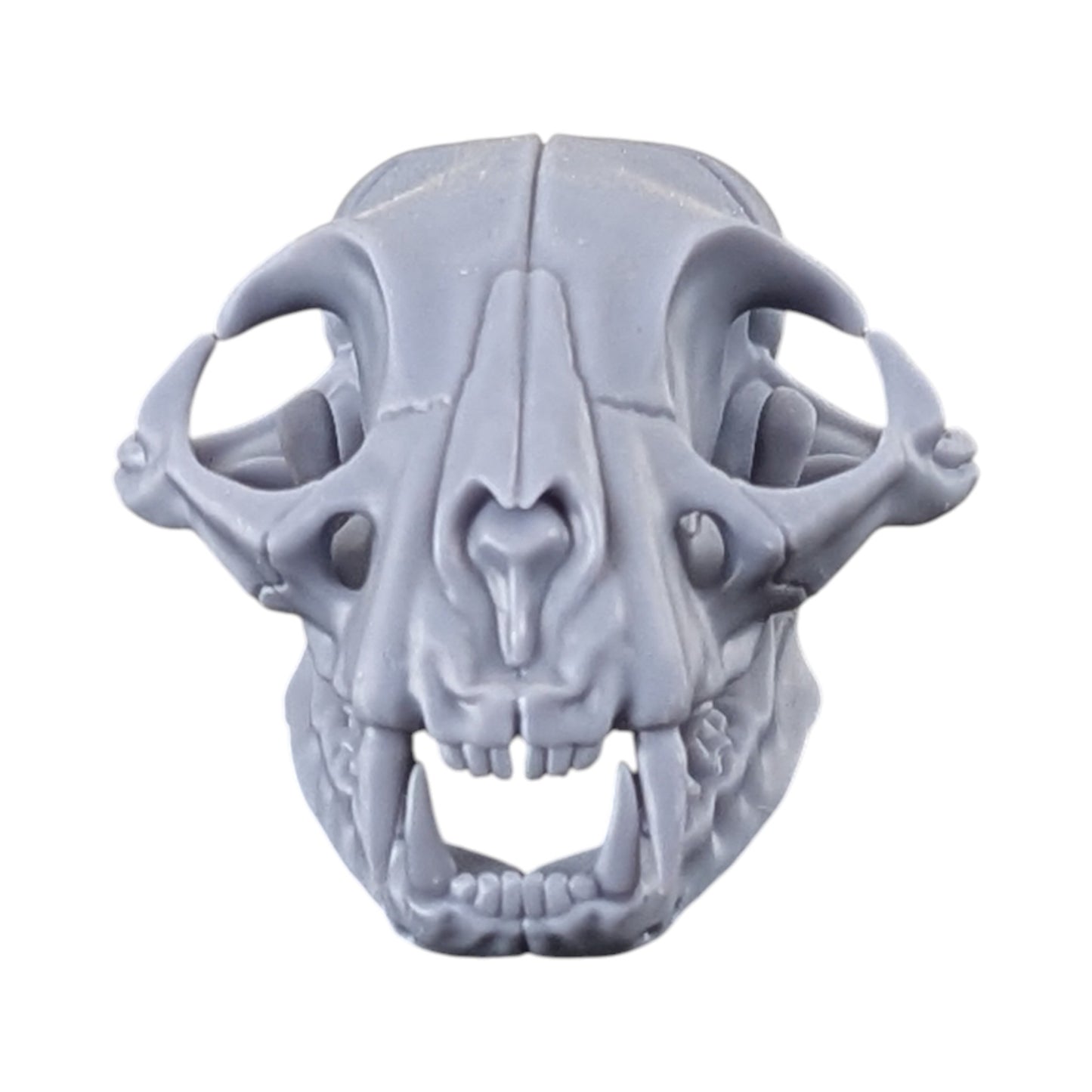 The Urban Specimen: Life-Size Cat Skull (Matte Concrete)