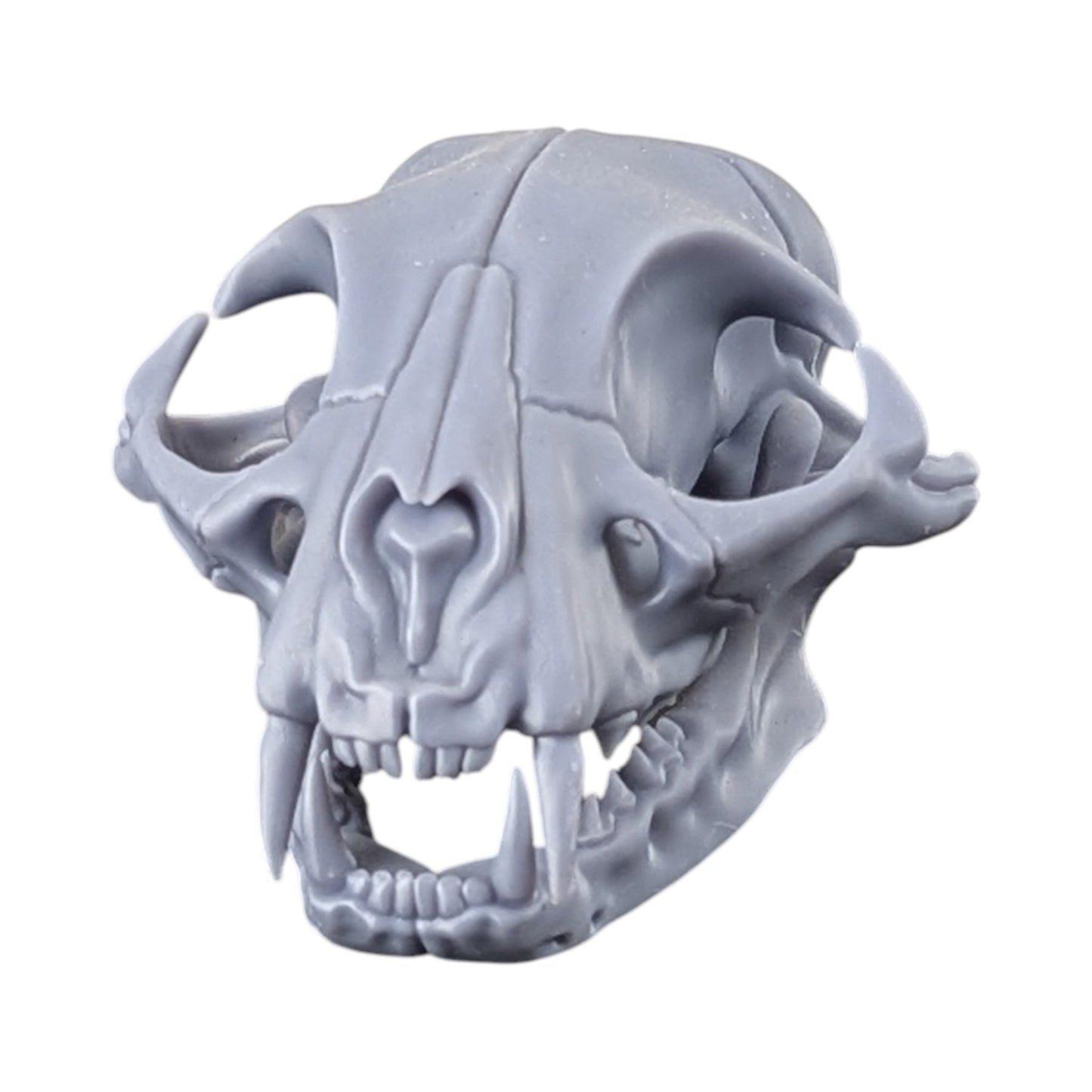 The Urban Specimen: Life-Size Cat Skull (Matte Concrete)