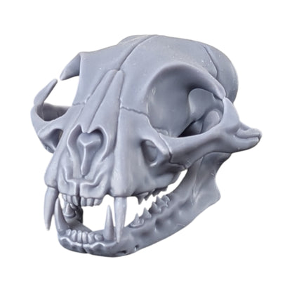 The Urban Specimen: Life-Size Cat Skull (Matte Concrete)