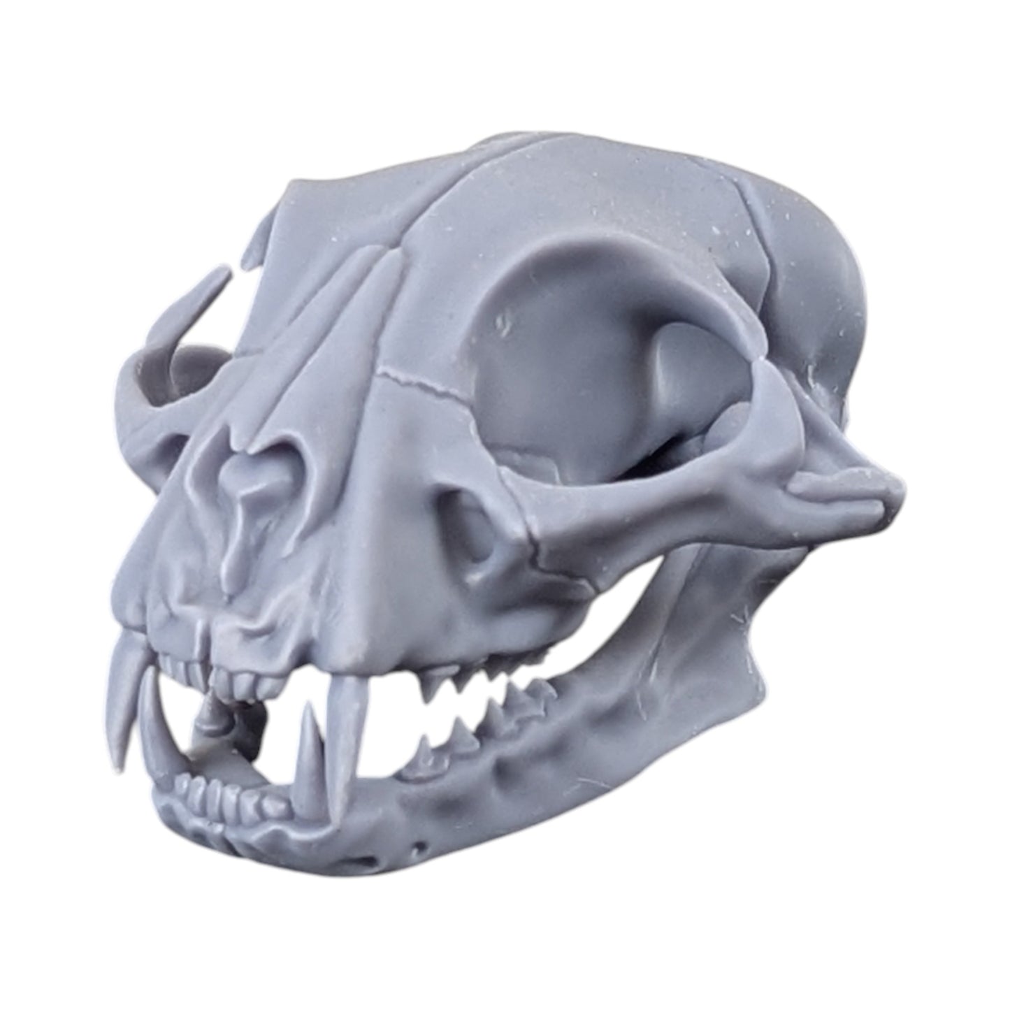 The Urban Specimen: Life-Size Cat Skull (Matte Concrete)