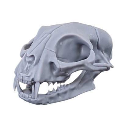 The Urban Specimen: Life-Size Cat Skull (Matte Concrete)