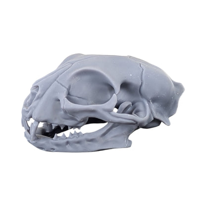 The Urban Specimen: Life-Size Cat Skull (Matte Concrete)