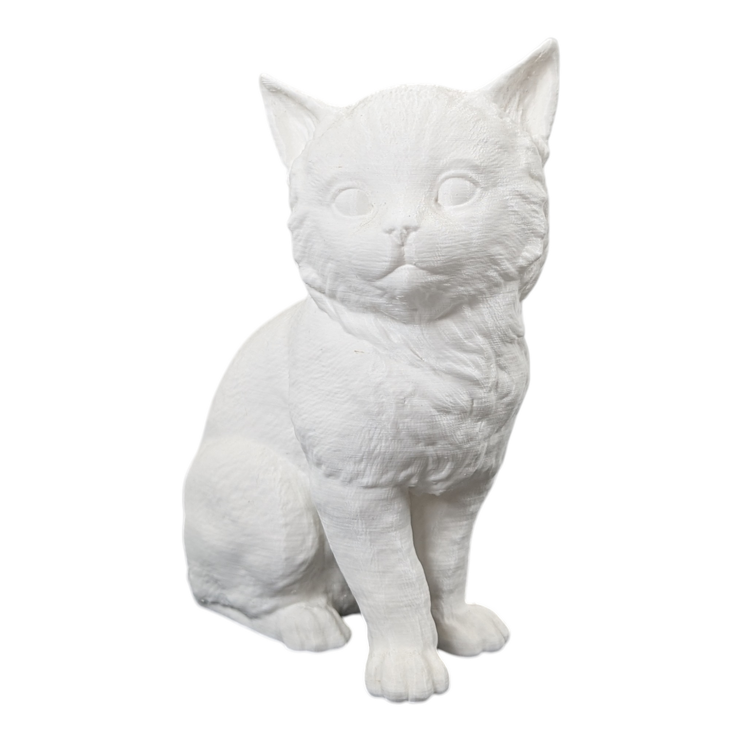 The Juvenile Feline Study (Archive No. 008)