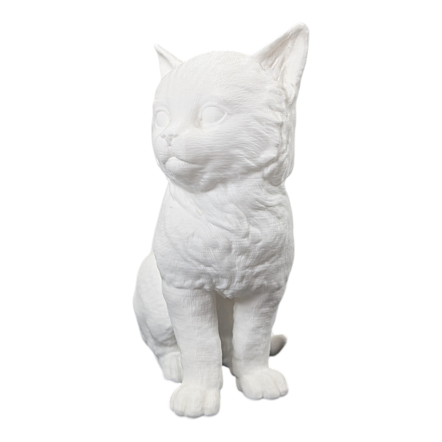 The Juvenile Feline Study (Archive No. 008)