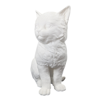 The Juvenile Feline Study (Archive No. 008)