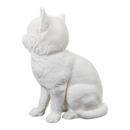 The Juvenile Feline Study (Archive No. 008)