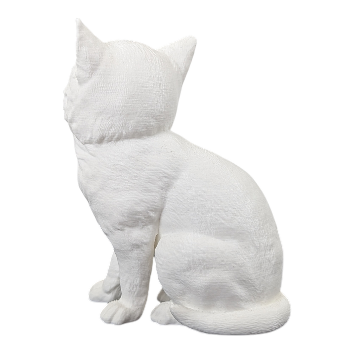 The Juvenile Feline Study (Archive No. 008)