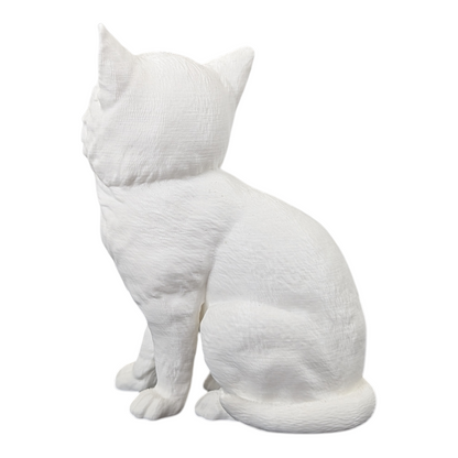 The Juvenile Feline Study (Archive No. 008)