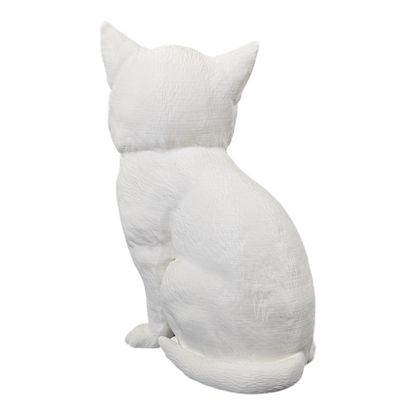 The Juvenile Feline Study (Archive No. 008)