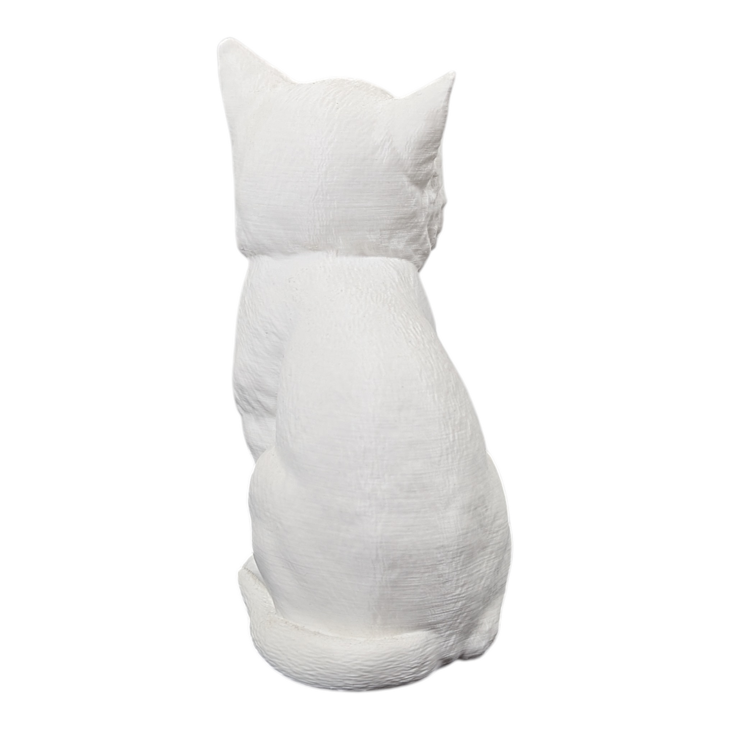 The Juvenile Feline Study (Archive No. 008)