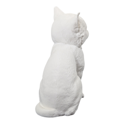 The Juvenile Feline Study (Archive No. 008)