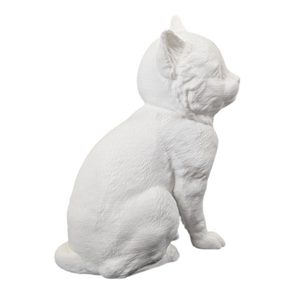 The Juvenile Feline Study (Archive No. 008)