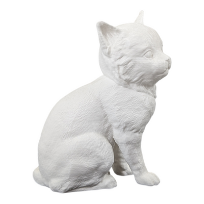 The Juvenile Feline Study (Archive No. 008)