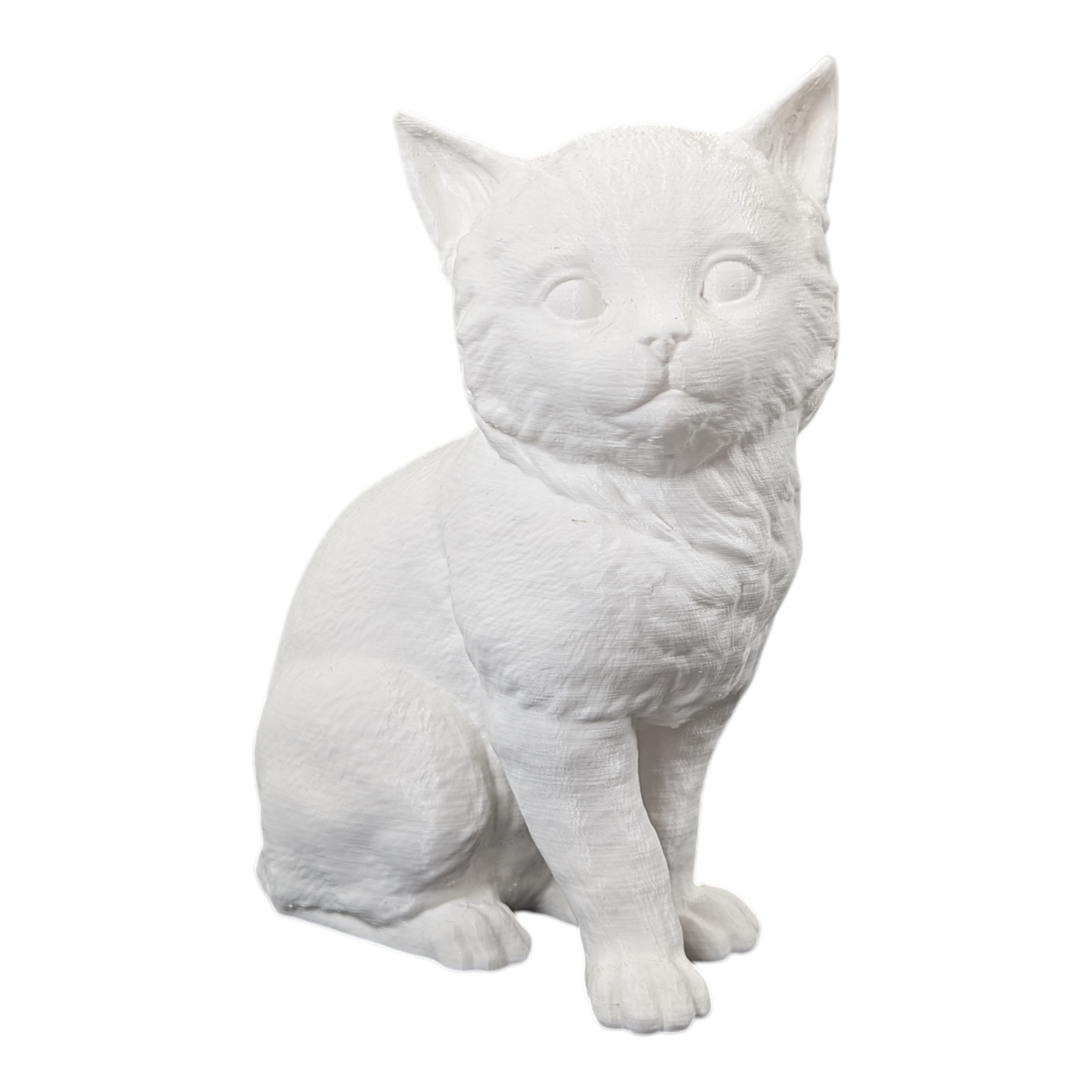 The Juvenile Feline Study (Archive No. 008)