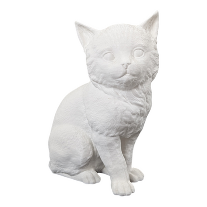 The Juvenile Feline Study (Archive No. 008)